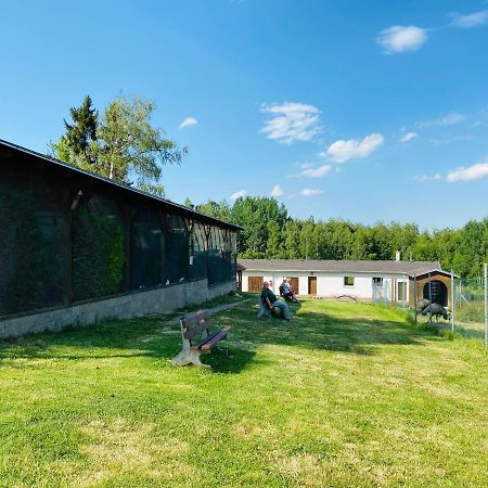 Garni Hotel Pyramida Cheb Esterno foto